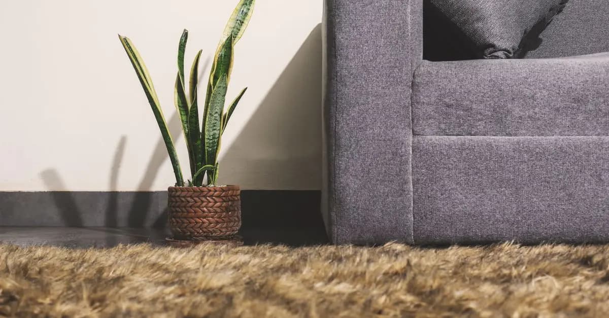 Comment choisir des meubles écologiques pour votre intérieur